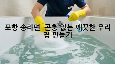 포항 송라면 🏡 곤충 없는 깨끗한 우리 집 만들기! 🧽✨