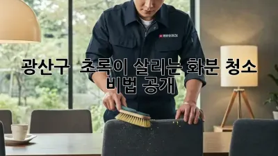 광산구 🌱 초록이 살리는 화분 청소 비법 공개! 🏡✨